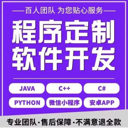 专业定制开发服务  Spring Boot + Vue 全栈开发